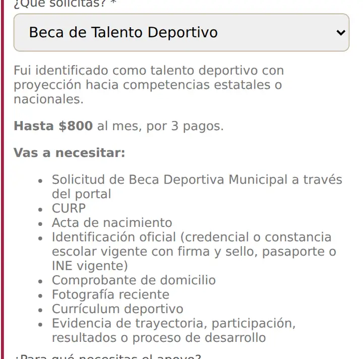 Al elegir aparecen los requisitos
